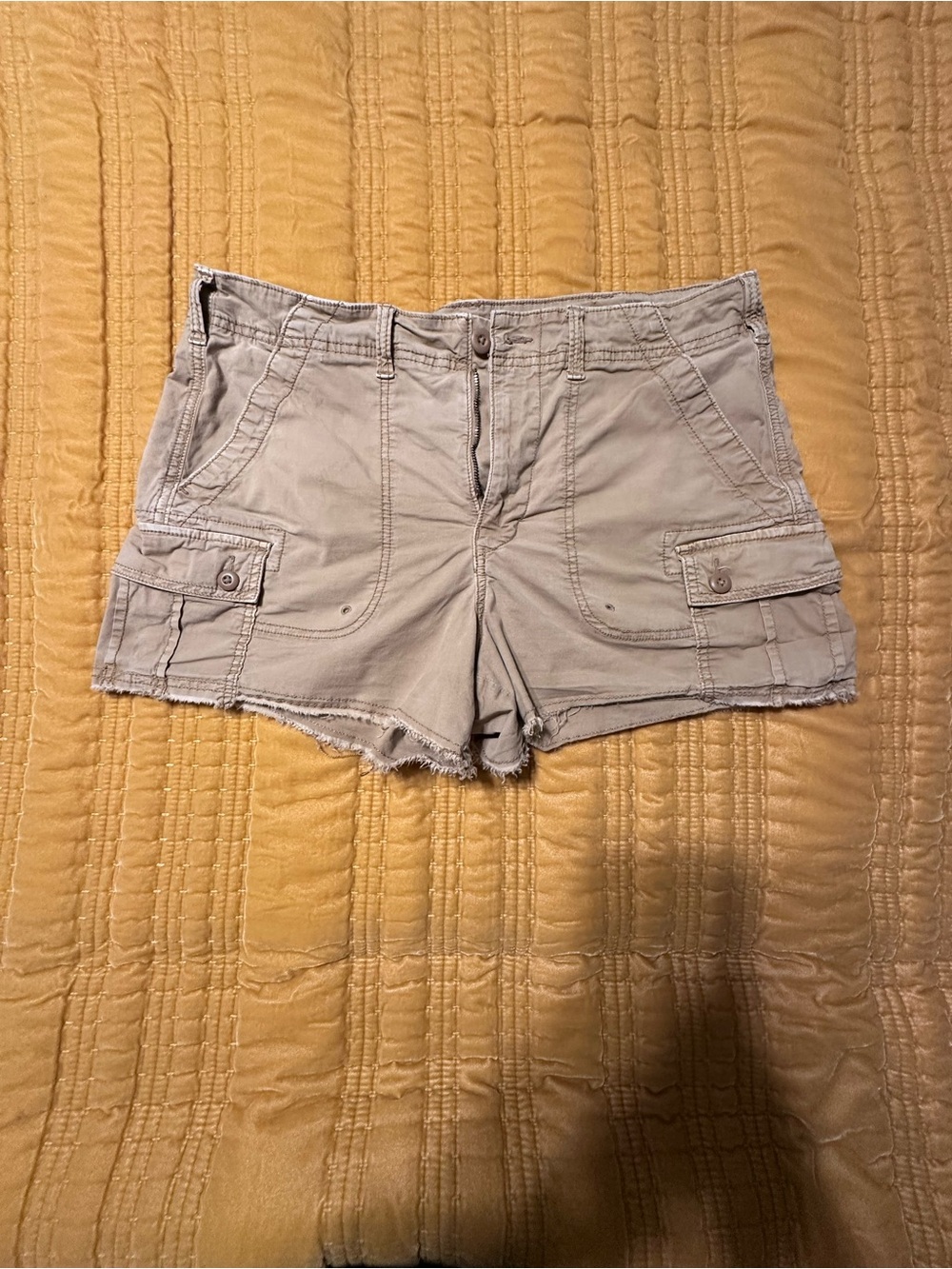 American Eagle Outfitters Beige Cargo Shorts